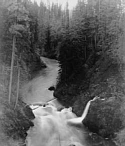 Before Pic of Skokomish River