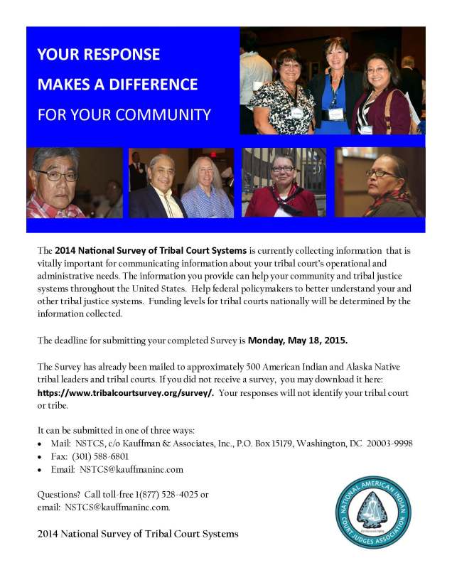 NAICJA-NSTCS Survey Flyer 050815