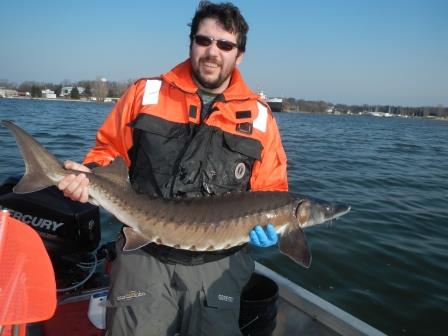 LRBOI employee Corey Jerome Holding the returning Sturgeon