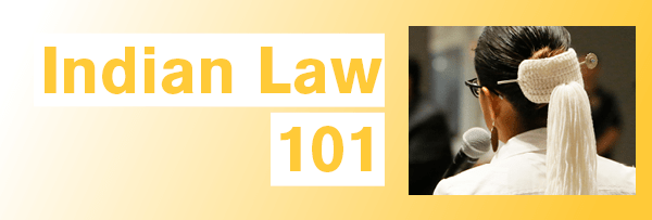 IndianLaw101Impact.png
