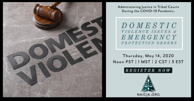 Domestic Violence and EPO Webinar